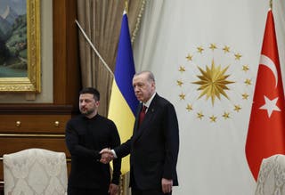 Zelensky and Erdogan earlier this month